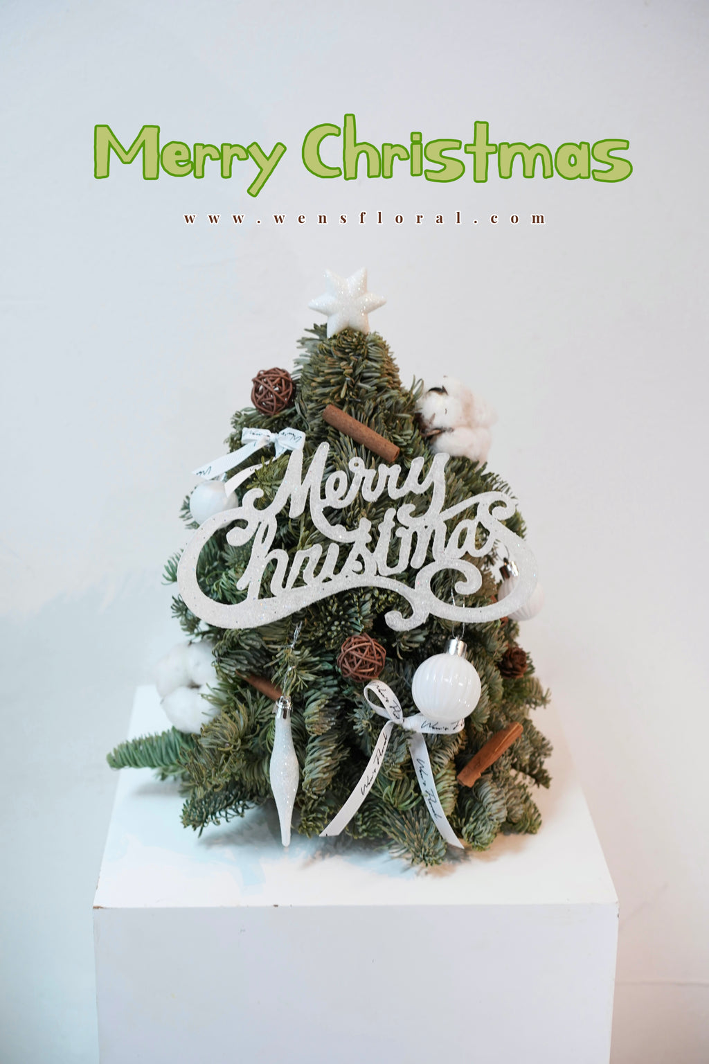 Mini fresh Christmas tree - white