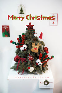 ミニフレッシュクリスマスツリー-赤