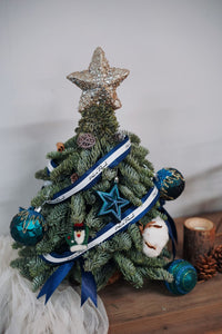 Mini fresh Christmas tree - blue